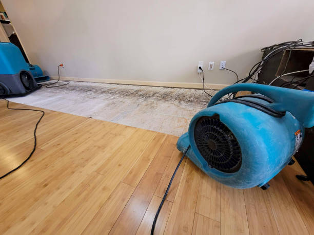 Professional Flood Damage Cleanup technician working in Marble Hill, MO